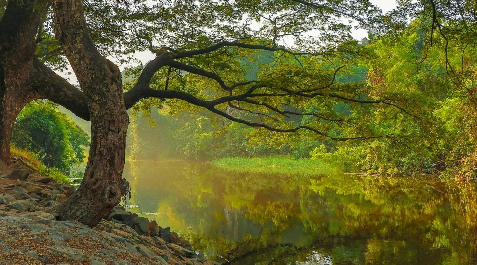 ESG IM EMPLOYER BRANDING